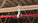 Caddy 3/4 Inch J-Hook Hammer On Flange Clip, Swivel - 40 Pack